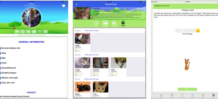 Feline Finder app